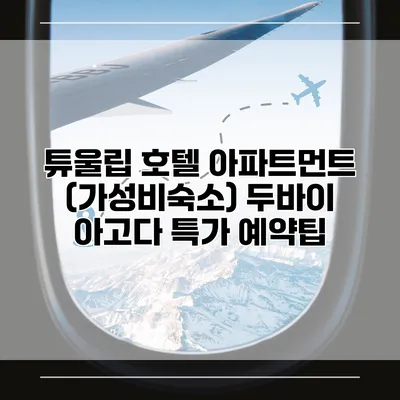 튜울립 호텔 아파트먼트 (가성비숙소) 두바이 아고다 특가 예약팁