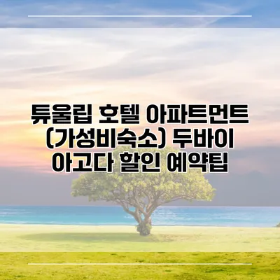튜울립 호텔 아파트먼트 (가성비숙소) 두바이 아고다 할인 예약팁