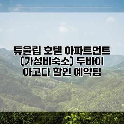 튜울립 호텔 아파트먼트 (가성비숙소) 두바이 아고다 할인 예약팁