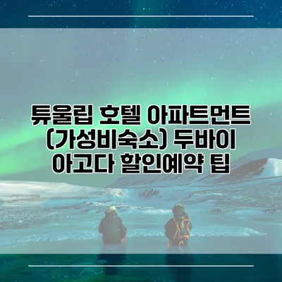 튜울립 호텔 아파트먼트 (가성비숙소) 두바이 아고다 할인예약 팁