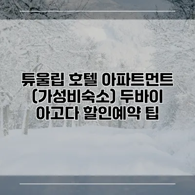 튜울립 호텔 아파트먼트 (가성비숙소) 두바이 아고다 할인예약 팁