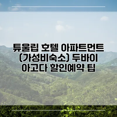 튜울립 호텔 아파트먼트 (가성비숙소) 두바이 아고다 할인예약 팁