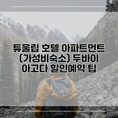튜울립 호텔 아파트먼트 (가성비숙소) 두바이 아고다 할인예약 팁