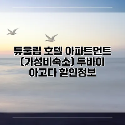 튜울립 호텔 아파트먼트 (가성비숙소) 두바이 아고다 할인정보