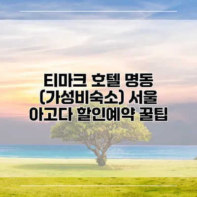 티마크 호텔 명동 (가성비숙소) 서울 아고다 할인예약 꿀팁