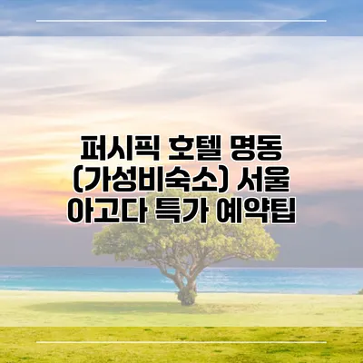 퍼시픽 호텔 명동 (가성비숙소) 서울 아고다 특가 예약팁