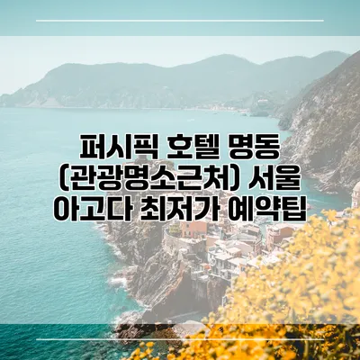 퍼시픽 호텔 명동 (관광명소근처) 서울 아고다 최저가 예약팁