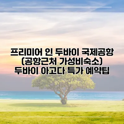 프리미어 인 두바이 국제공항 (공항근처 가성비숙소) 두바이 아고다 특가 예약팁