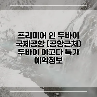 프리미어 인 두바이 국제공항 (공항근처) 두바이 아고다 특가 예약정보
