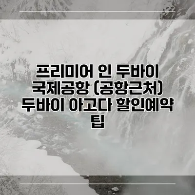 프리미어 인 두바이 국제공항 (공항근처) 두바이 아고다 할인예약 팁