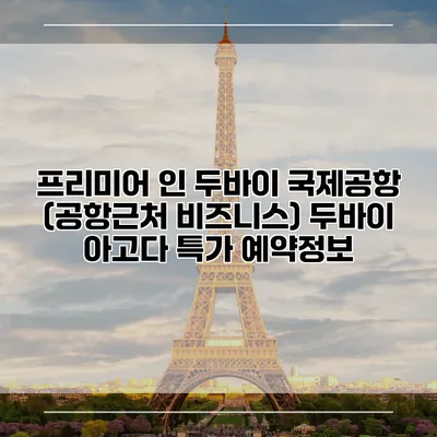 프리미어 인 두바이 국제공항 (공항근처 비즈니스) 두바이 아고다 특가 예약정보