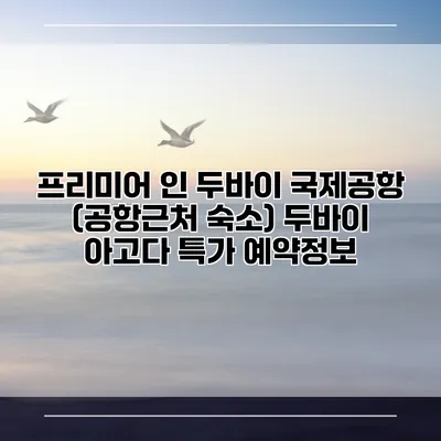 프리미어 인 두바이 국제공항 (공항근처 숙소) 두바이 아고다 특가 예약정보