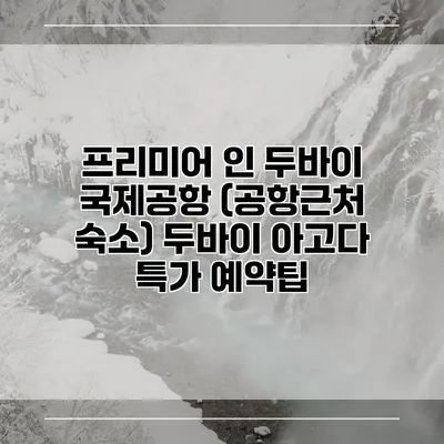 프리미어 인 두바이 국제공항 (공항근처 숙소) 두바이 아고다 특가 예약팁