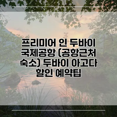 프리미어 인 두바이 국제공항 (공항근처 숙소) 두바이 아고다 할인 예약팁