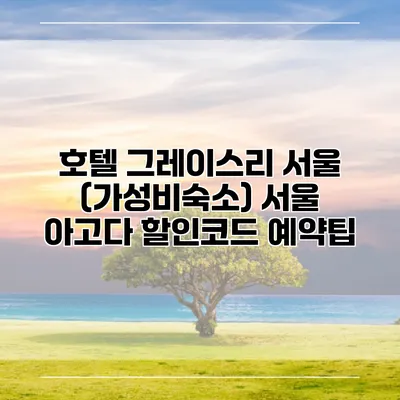 호텔 그레이스리 서울 (가성비숙소) 서울 아고다 할인코드 예약팁