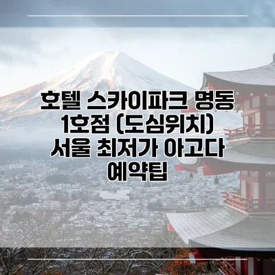 호텔 스카이파크 명동 1호점 (도심위치) 서울 최저가 아고다 예약팁