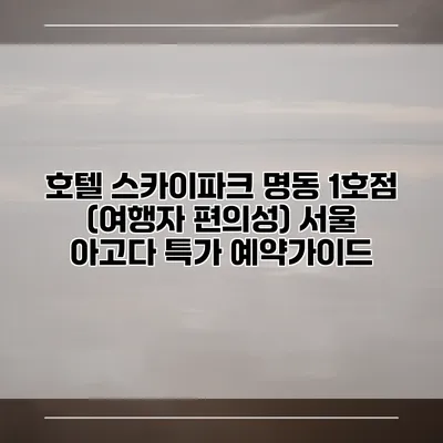 호텔 스카이파크 명동 1호점 (여행자 편의성) 서울 아고다 특가 예약가이드