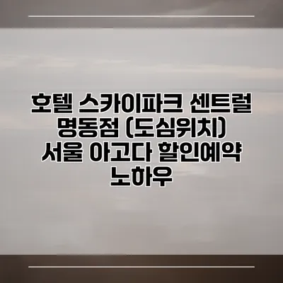 호텔 스카이파크 센트럴 명동점 (도심위치) 서울 아고다 할인예약 노하우
