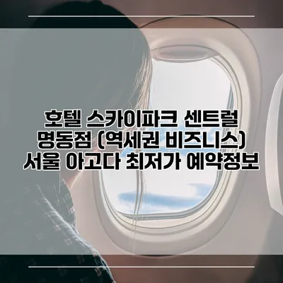 호텔 스카이파크 센트럴 명동점 (역세권 비즈니스) 서울 아고다 최저가 예약정보