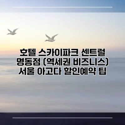 호텔 스카이파크 센트럴 명동점 (역세권 비즈니스) 서울 아고다 할인예약 팁
